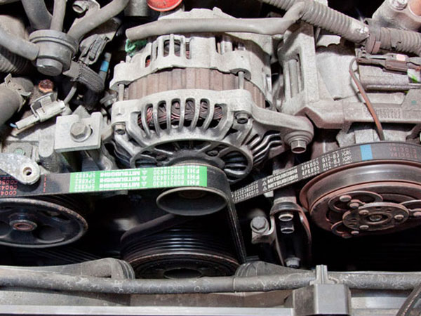 Sostituzione-catena-di-trasmissione-Modena